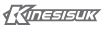 kinesis_b2b_logo